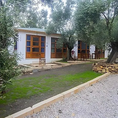 Yiva Kazdaglari 2*